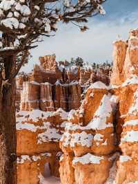 出發美西包車遊！DIY路線自由行