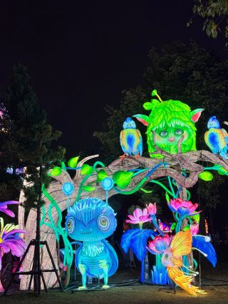 ขณะเดินทางย้อนกลับในเมืองเซี่ยเหมิน ฉันได้พบกับทะเลแห่งแสงไฟอันมหัศจรรย์ที่สวนนิทรรศการประจำปีม้า