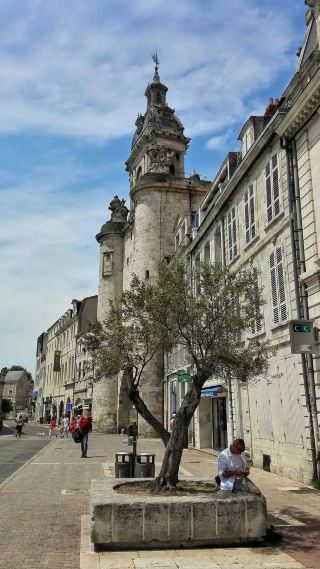 フランス4日間クラシック旅程｜ポワトゥーを一気に満喫