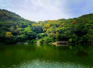 ออกไปเที่ยวพักผ่อนช่วงฤดูใบไม้ผลิในเทศกาลชิงหมิงที่เขตทัศนียภาพต้าเป่ยฉาซาน เมืองชิงหยวนกันเถอะ