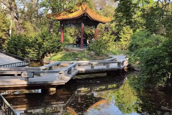 Spring In Dalian Spring Picnic at Zhongshan Park · Convenient Check-in at Zhongshan Park ...
