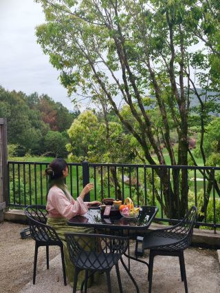 Wuyishan Travel | Exquisite B&Bs Nestled Amidst the Fragrance of Tea