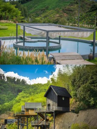 Bamboo Forest Secluded Must-Visit Homestay