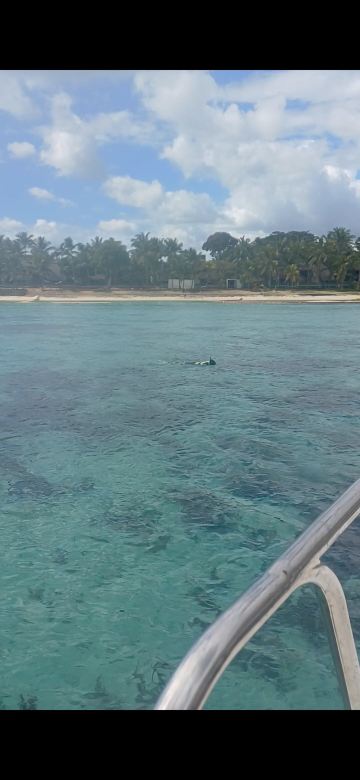 ประสบการณ์ล่องเรือคาตามารันที่น่าจดจำ