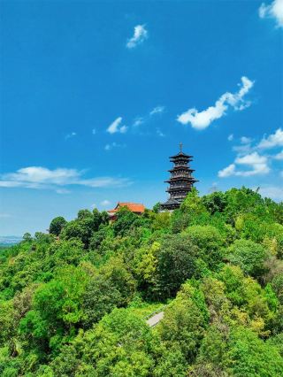 眉山の夏は、「緑、緑、緑、緑」に囲まれています！