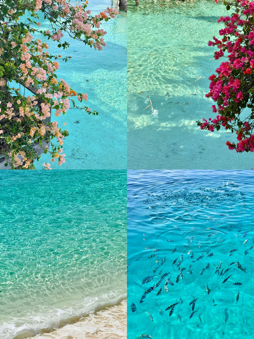 モルディブばかり見ていないで！このビザなしで行ける離島の海は、信じ