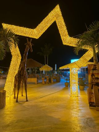 Exceptional Stay at Hyatt Ziva Jardin Tropical Tenerife