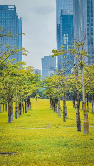선성의 숨은 가을 스팟, 포산공원