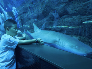 An immersive deep-sea journey at S.E.A. Aquarium Singapore!