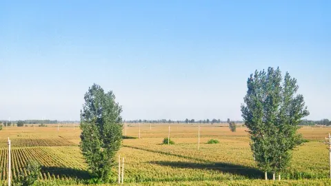 Cangzhou City Wuqiao County (Suburban) — traveler post in Ningjin