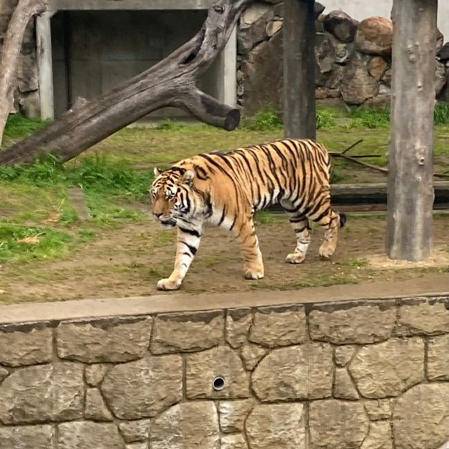 わかりやすい！大阪eco動物海洋専門学校　天王寺動物園
