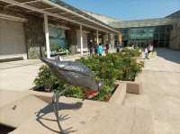 Hong Kong Wetland Park - Visitor Centre