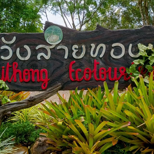 เรือนกระดังงา  ณ.วังสายทอง 
