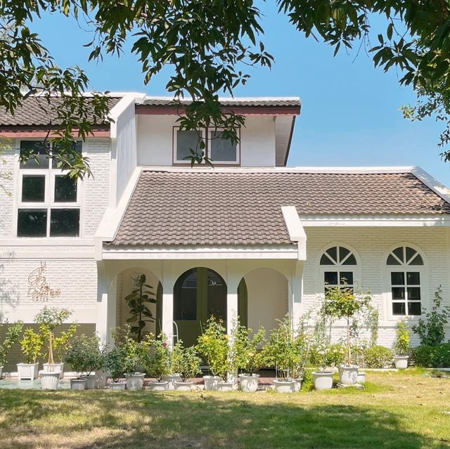 𝑫𝒓𝒊𝒑𝒔𝒕𝒆𝒓 𝑯𝑶𝑼𝑺𝑬 𝒄𝒂𝒇é  ☕️🏡