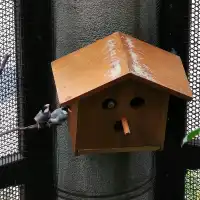 元朗公園-百鳥塔