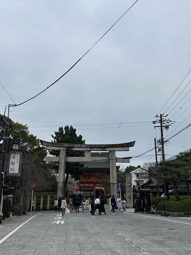 일본감성 최고치-교토 산넨자카,청수사🏮