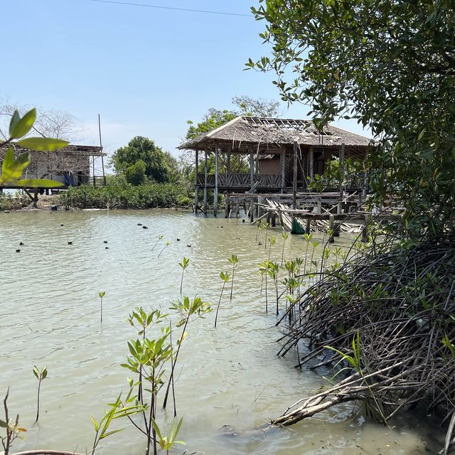ศูนย์อนุรักษ์ป่าชายเลนคลองโคน