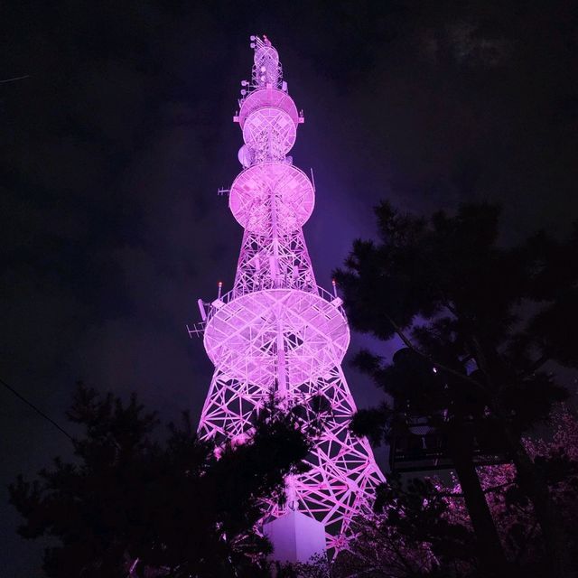 인천 벚꽃명소 수봉공원으로 가자