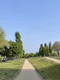 나만 알고싶은 피크닉 장소 양화한강공원🥪🌳