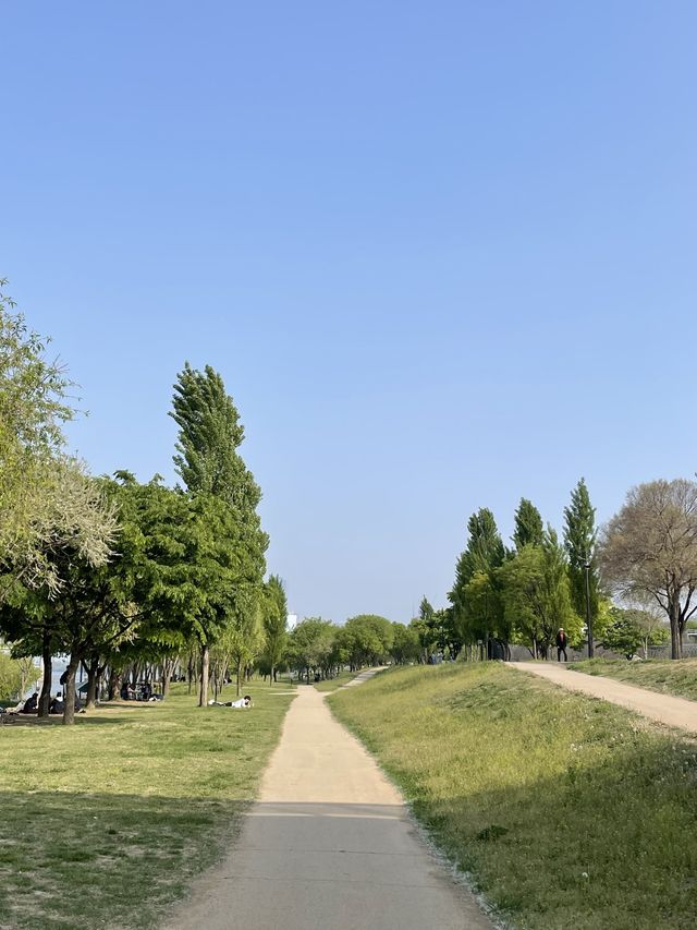 나만 알고싶은 피크닉 장소 양화한강공원🥪🌳
