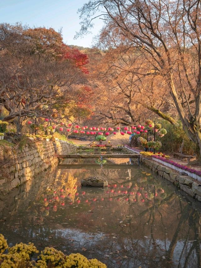 충남 4대 사찰의 보물로 지명된 "서산 개심사"