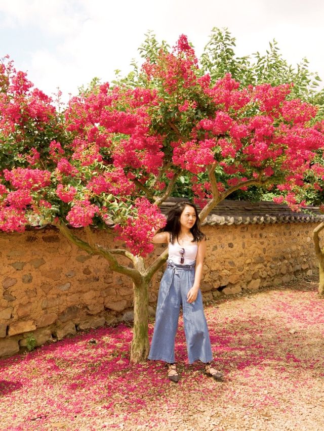 Symphony of nature and Korean houses💞💞