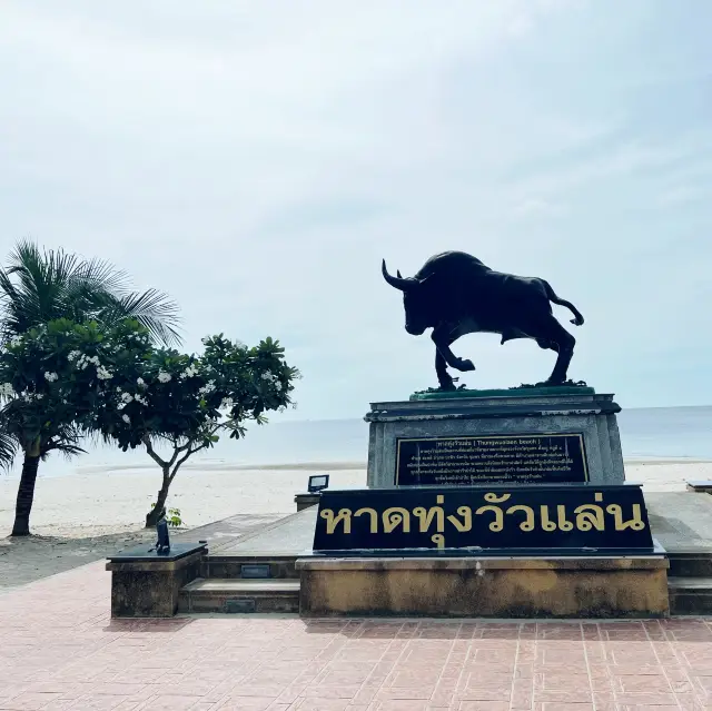 หาดทุ่งวัวแล่น ชุมพร