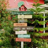 Mesilou Strawberry Farm