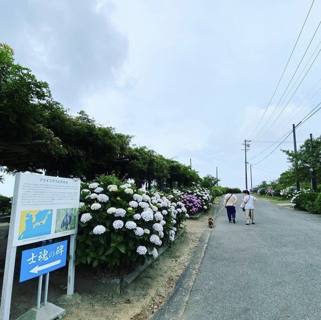 三ヶ根山スカイライン