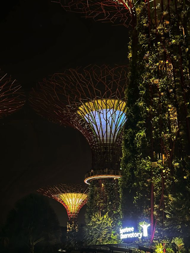 《新加坡》必去地標級景點 超壯觀燈光秀-Supertree Grove