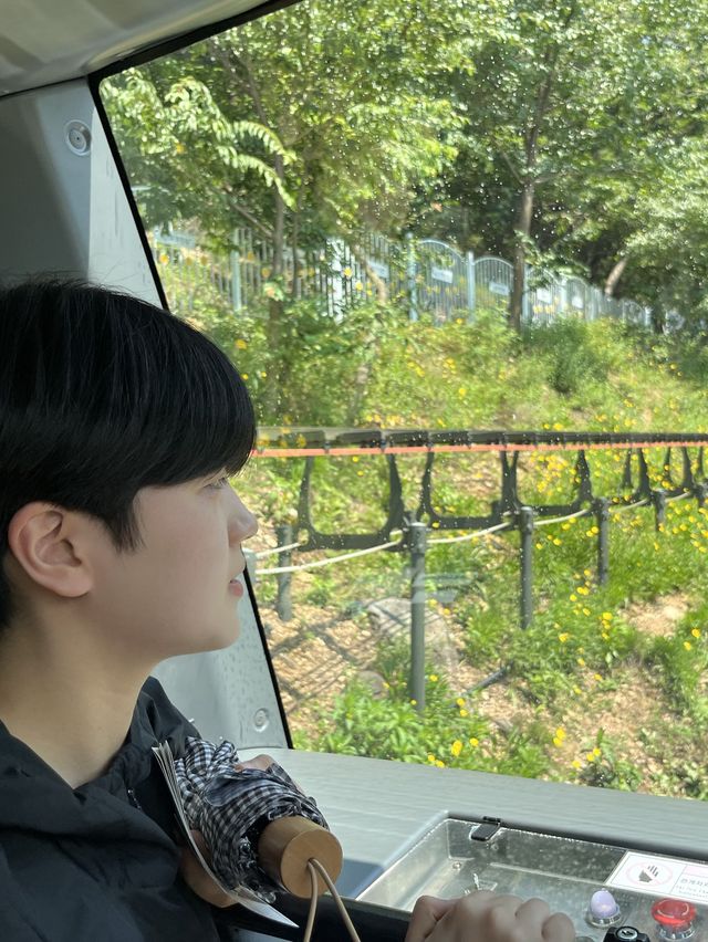 이쁜 여름 하늘 시원한 곳에서 구경하고 싶으신 분!
