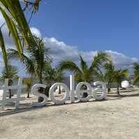It’s Always Sunny in Solea Mactan Cebu 