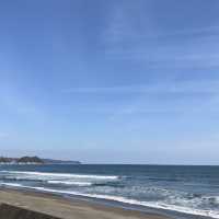 海洋奇遇！鴨川海洋世界🐳🐙🌊