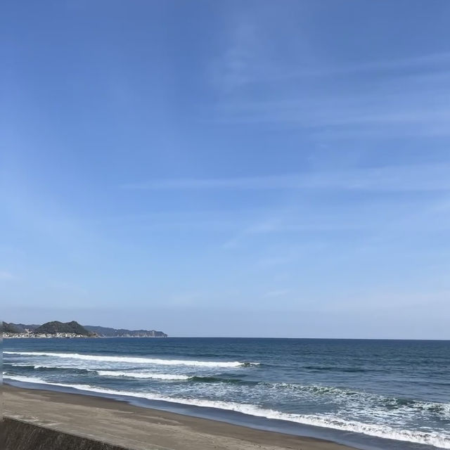 海洋奇遇！鴨川海洋世界🐳🐙🌊