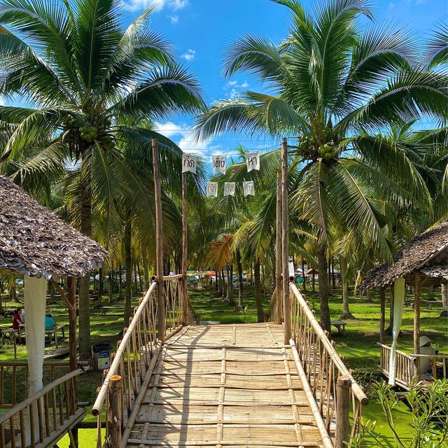 치앙마이 바파오 코코넛 플리마켓 이색적인 동남아 풍경🌴