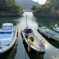 福岡糸島市芥屋漁港，鮮甜海產盡在其中