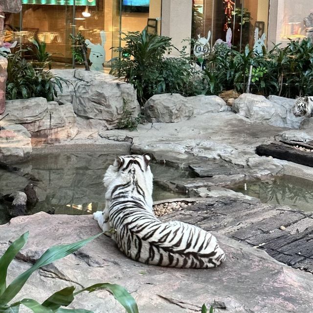 奇妙動物之旅：狂野廣州長隆酒店！🦁🏨