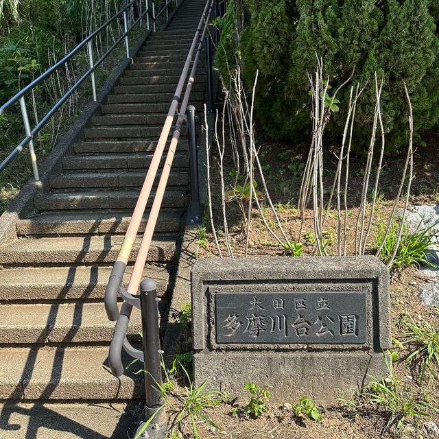 📍多摩川台公園/東京