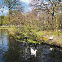 🇳🇱荷蘭海牙🌳🦆🐦The Hague (Den Haag)🌤️城市風光景色優美