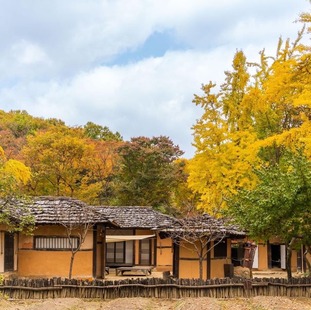 Beautiful Autumn View Korean Folk Village 