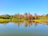 【港版加拿大湖🇨🇦~濕地公園🍁】