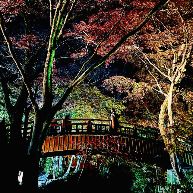 Atami Plum garden and momiji 