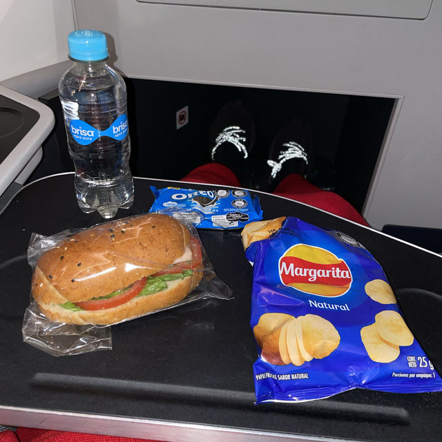 Avianca Business Class BOG-GRU