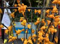 Colourful Flowers for Chinese New Year