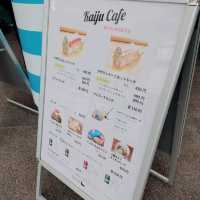 京都水族館といえばオオサンショウウオ