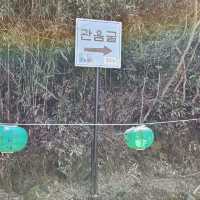 드라마 우영우 촬영지 관음사