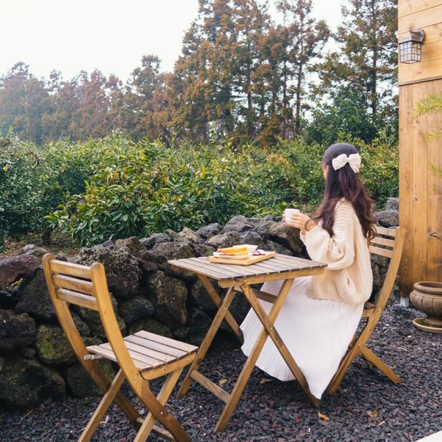 🍊감귤나무뷰 자쿠지 감성숙소 [제주, 고즈넉]🏡