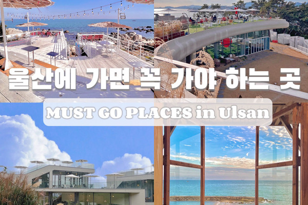울산에 가면 꼭 가야 하는 곳 TOP 5 📍 | 트립닷컴 울산