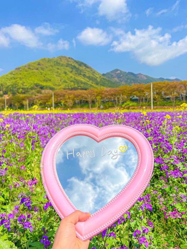 알록달록 꽃들 속에서 즐기는 봄 피크닉💓