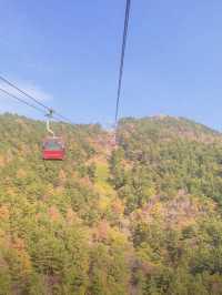 산과 바다를 모두 볼 수 있는 케이블카!